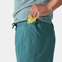 Quandary Shorts 10″ (2024) Tent Green