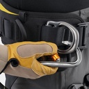 Astro (Version internationale) Noir / Jaune