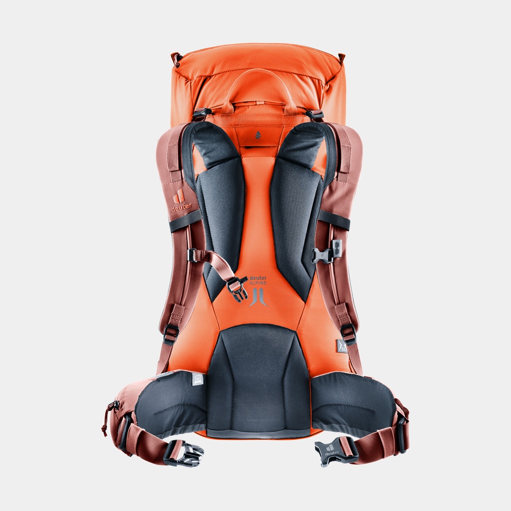 Futura Pro 36 Masala Cherry