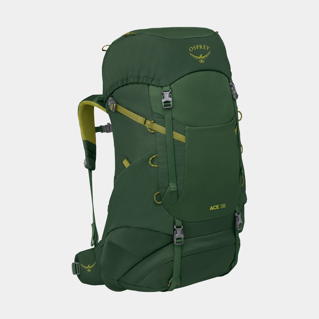 Ace 38 Green Canopy Matcha Green