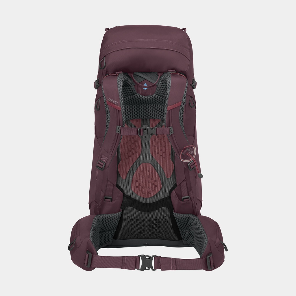 Aura AG LT 50 Antidote/Purple (copie)