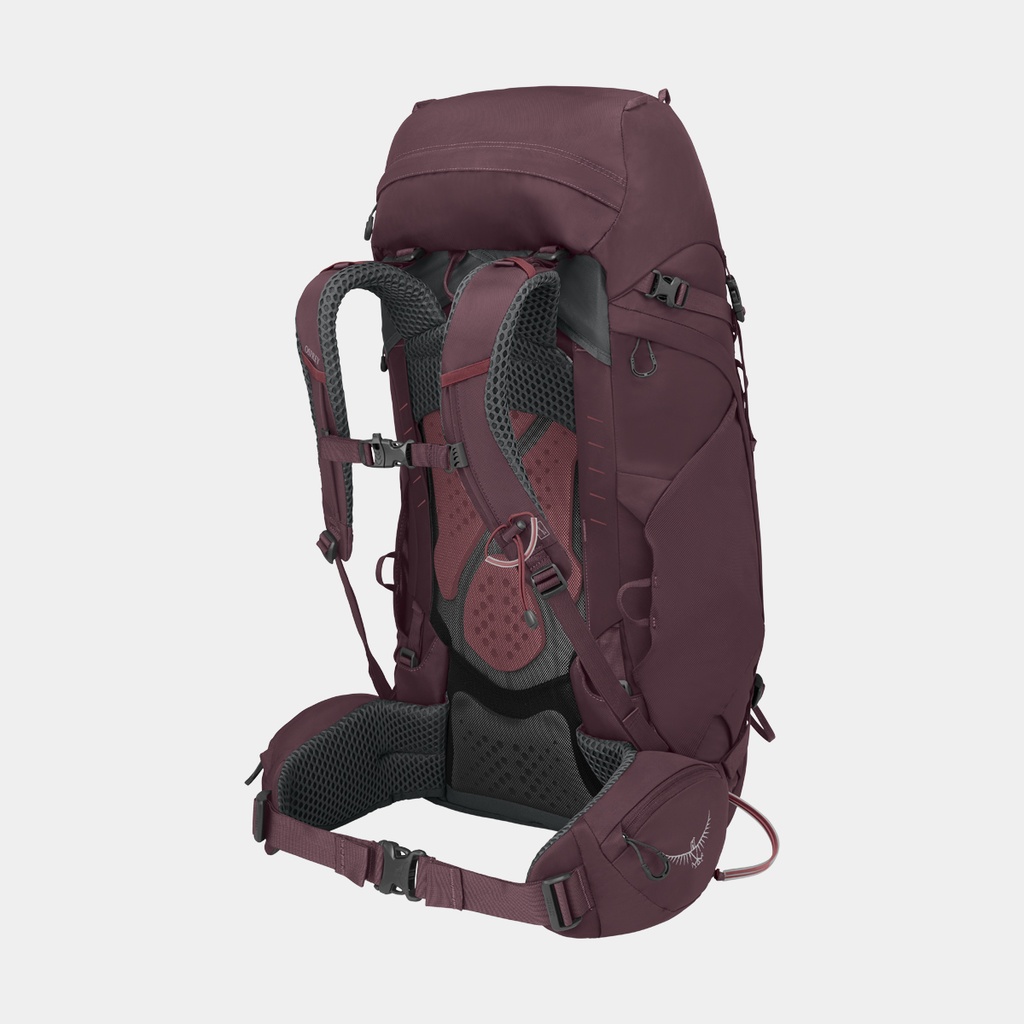 Aura AG LT 50 Antidote/Purple (copie)