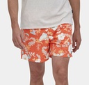 Baggies Shorts 5'' Lago Blue (copie)