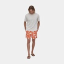 Baggies Shorts 5'' Lago Blue (copie)