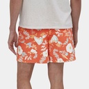 Baggies Shorts 5'' Lago Blue (copie)