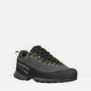 TX4 GTX Carbon-Flame (copie)