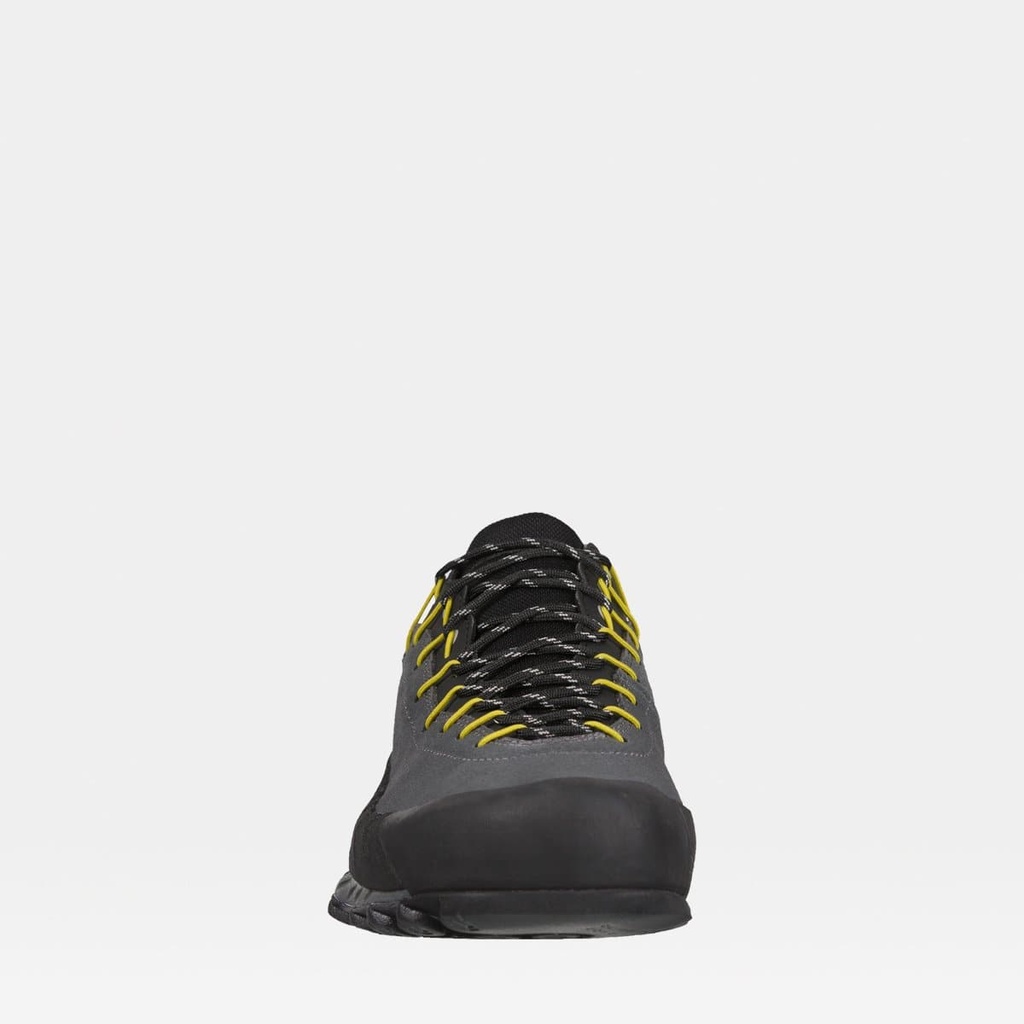 TX4 GTX Carbon-Flame (copie)