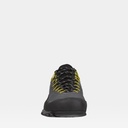 TX4 GTX Carbon-Flame (copie)