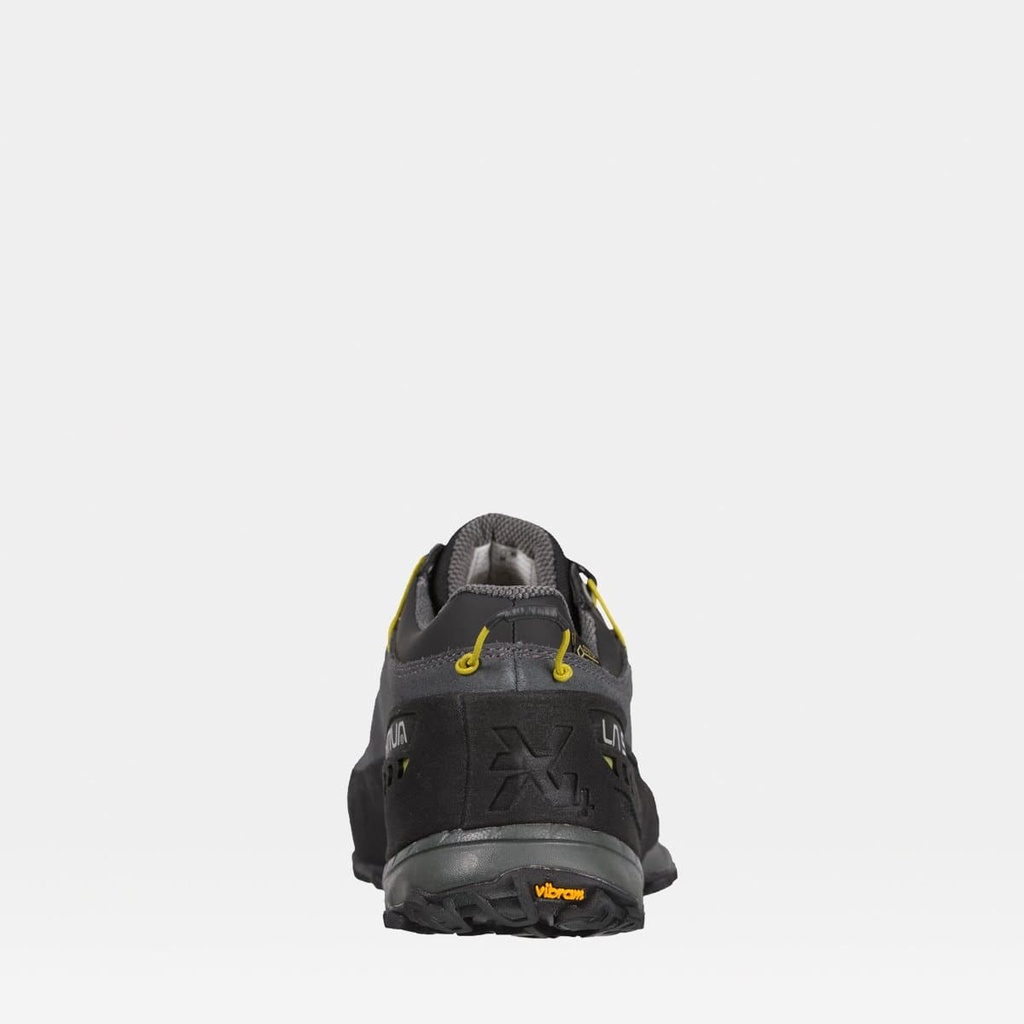 TX4 GTX Carbon-Flame (copie)