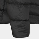 Electron Jacket Women Graphene / Peony (copie)