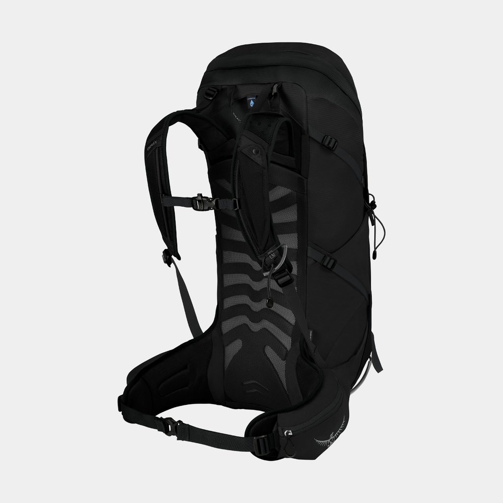 Talon 36 (2021) Eclipse Grey (copie)