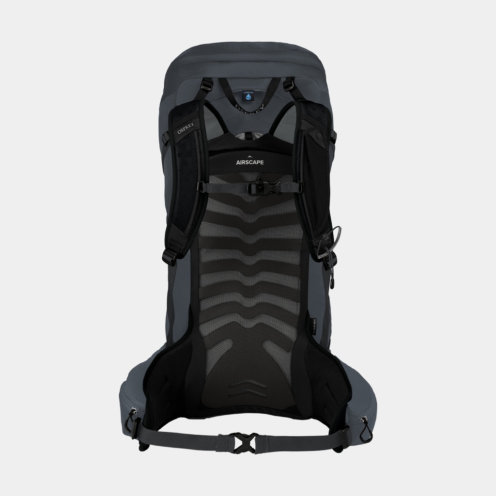 Talon 36 (2021) Cosmic Red (copie)