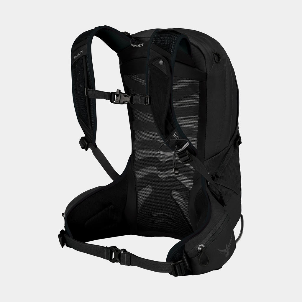 Talon 11 (2021) Limon Green (copie)