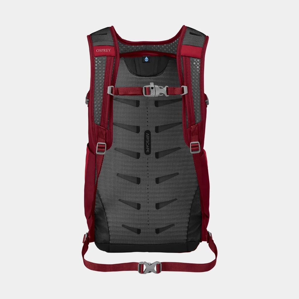 Daylite Plus (2021) Black (copie)