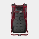 Daylite Plus (2021) Black (copie)