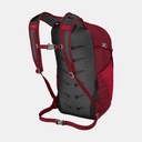 Daylite Plus (2021) Black (copie)