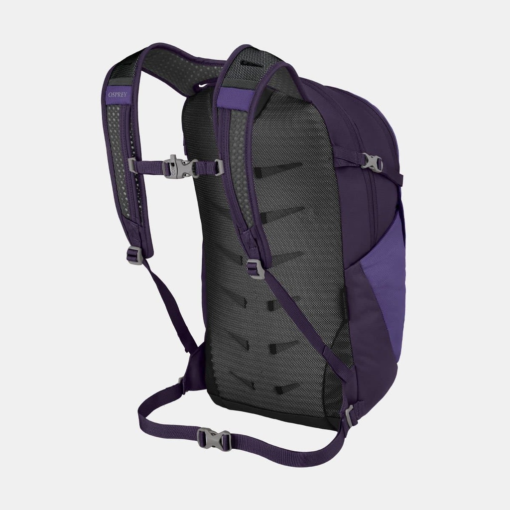 Daylite Plus (2021) Cosmic Red (copie)