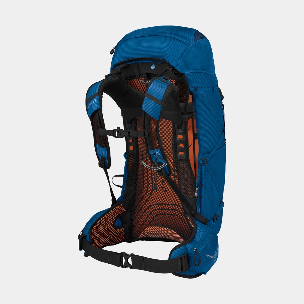 Exos 38 (2022) Blue Ribbon
