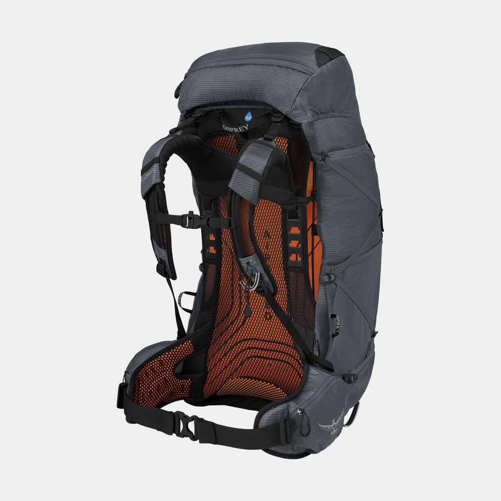 Exos 58 (2022) Blue Ribbon (copie)