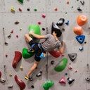y-y-chalk-bag-triceratops-04.jpg