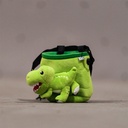 y-y-chalk-bag-t-rex-08.jpg