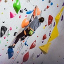 y-y-chalk-bag-t-rex-07.jpg