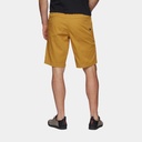 Notion Shorts (2023) Amber