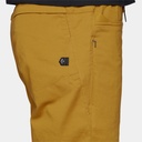 Notion Shorts (2023) Amber