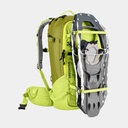 Freerider 30 (2021) Citrus / Moss