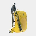 Futura 23 (2021) Turmeric / Green Curry