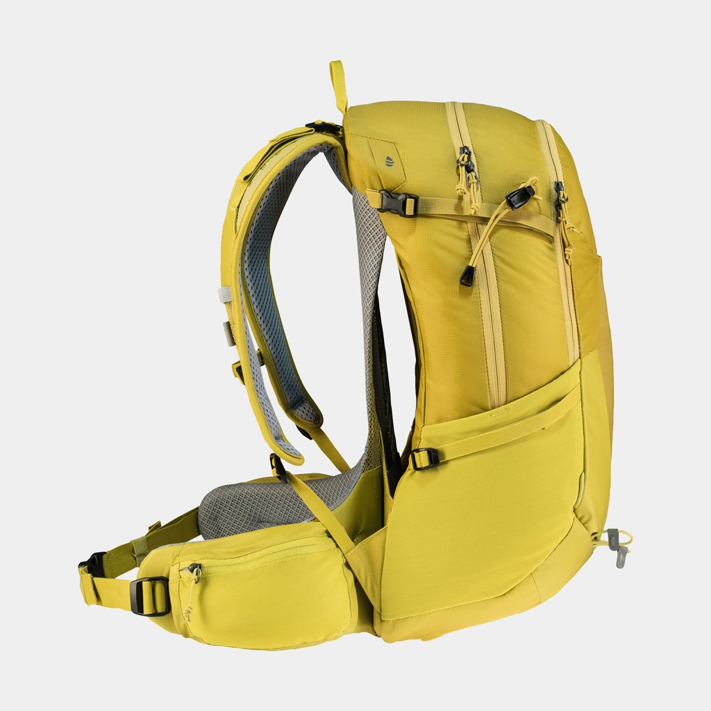 Futura 27 (2021) Turmeric / Green curry