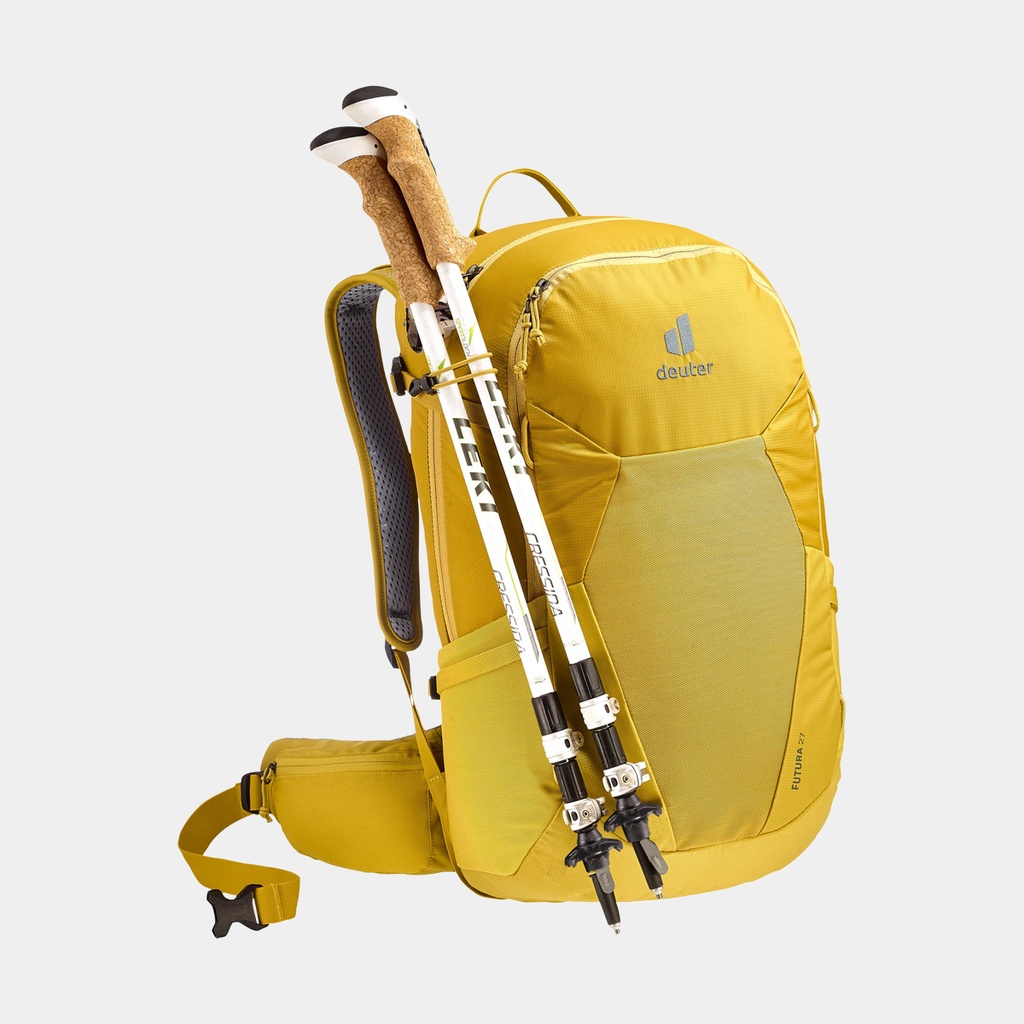 Futura 27 (2021) Turmeric / Green curry
