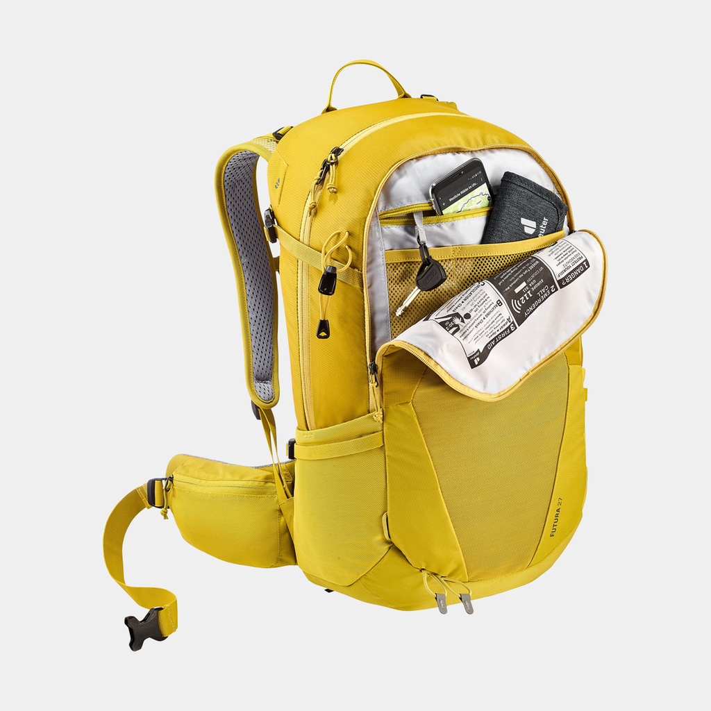 Futura 27 (2021) Turmeric / Green curry