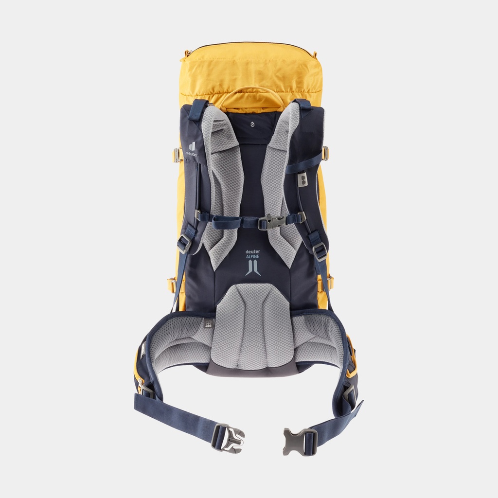 Guide 34+ (2021) Curry / Navy