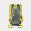 Speed Lite 20 (2021) Green Curry / Slate-Blue