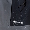 Mountain Guide GTX Pro Jacket (2022) Grey Pinstripe / Jet Black