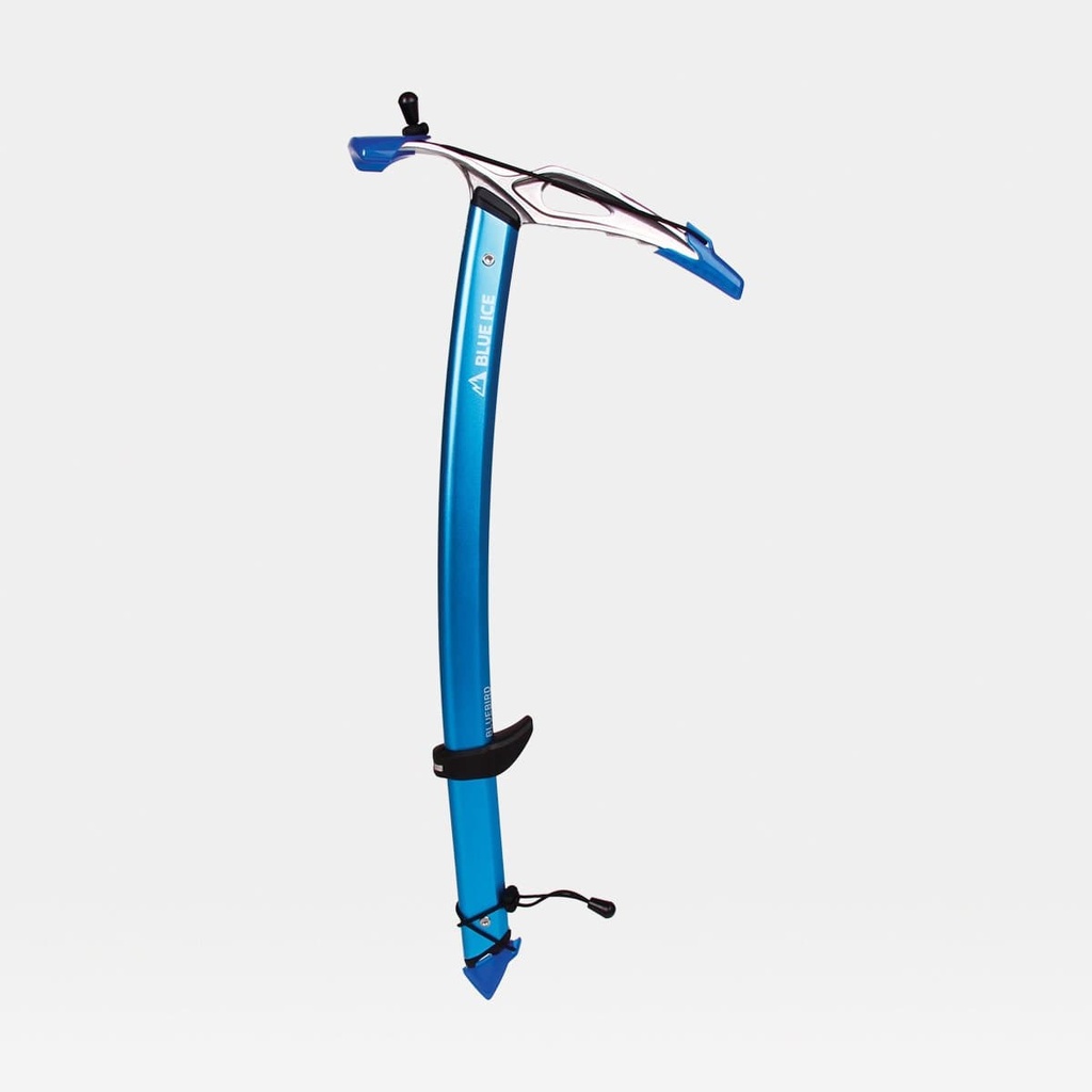 BlueIce-Bluebird-04.jpg