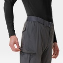 Silver Ridge II Cargo Pants Grill