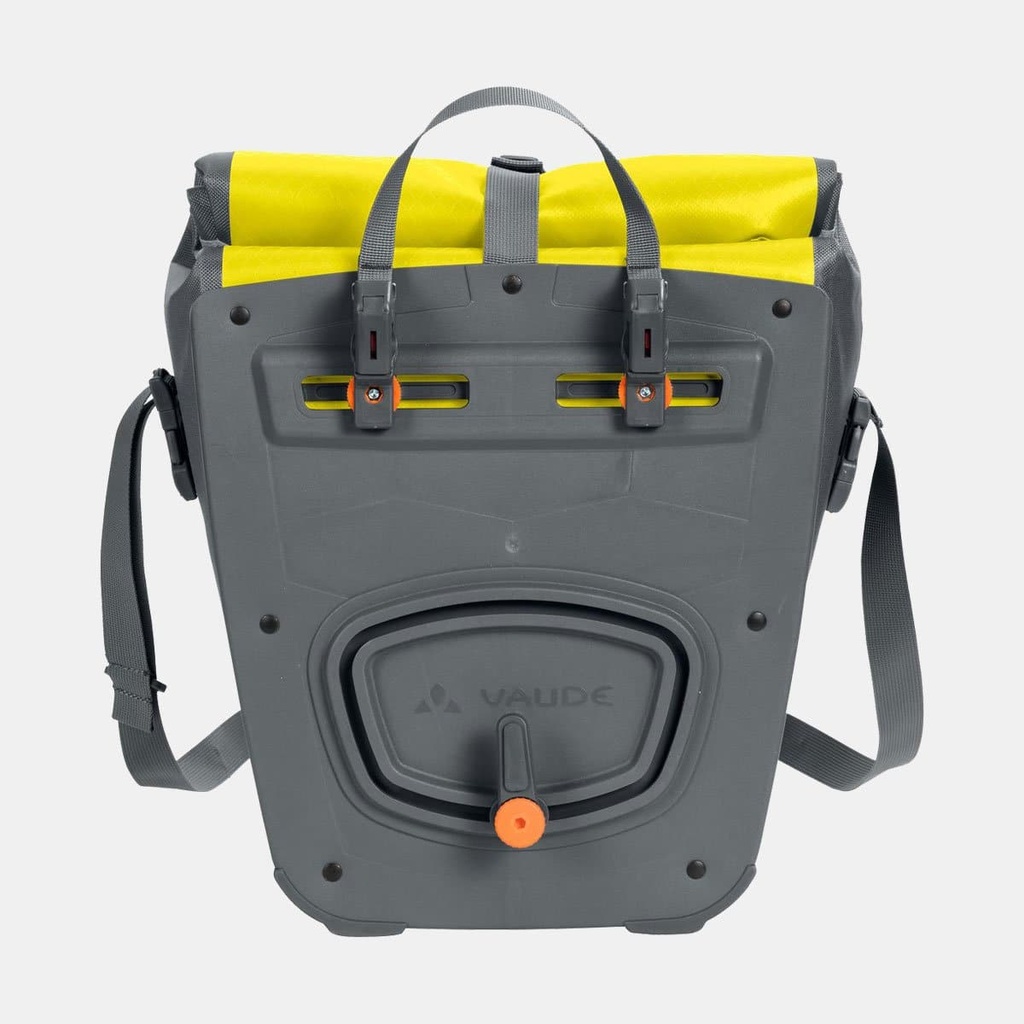 Aqua Front Canary