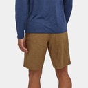 Hampi Rock Shorts Mulch Brown