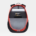 Borealis Classic Flare / TNF Black