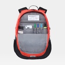 Borealis Classic Flare / TNF Black