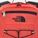 Borealis Classic Flare / TNF Black