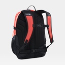 Borealis Classic Flare / TNF Black