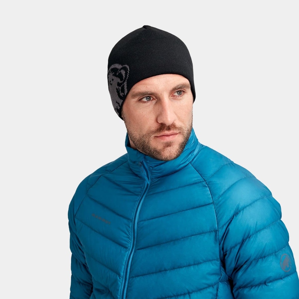 Tweak Beanie Black / Titanium