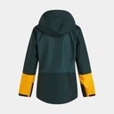 Vislight Gore-Tex Pro Jacket (2022) Scarab Green