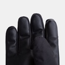 Chamonix GTX Gloves (2021) Black