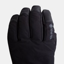 Chamonix GTX Gloves (2021) Black