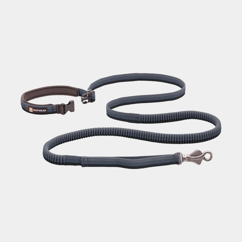 Roamer Leash Granite Gray