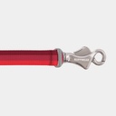 Roamer Leash Red Sumac